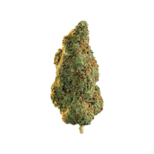 Girl Scout Cookies