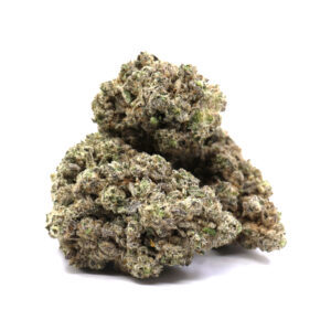 Jungle Fire